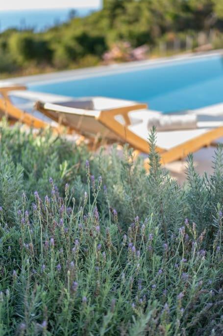 Fiscardo Luxury Stone Villa Suzana ,With Sunset View! Фискардо Екстериор снимка